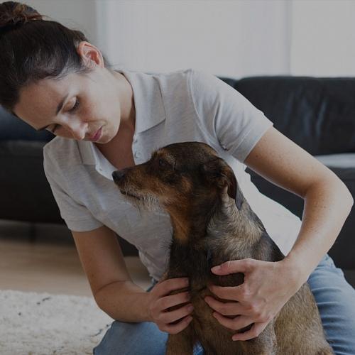 TIERPHYSIOTHERAPIE FÜR KATZEN